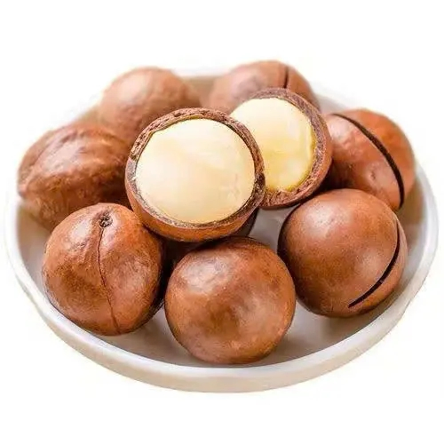 Nozes de Macadâmia de Alta Qualidade Nova Safra Cruas Orgânicas Atacado