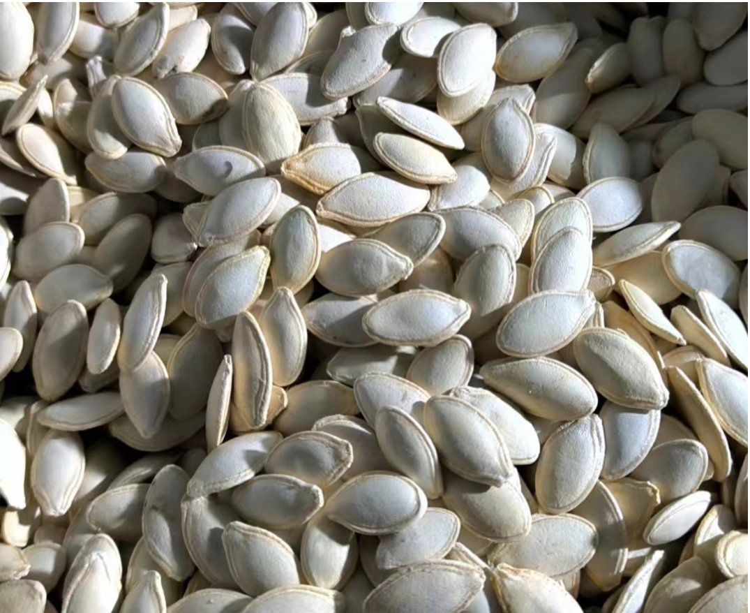 Snack de Nozes Secas Semente de Abóbora Chinesa da China