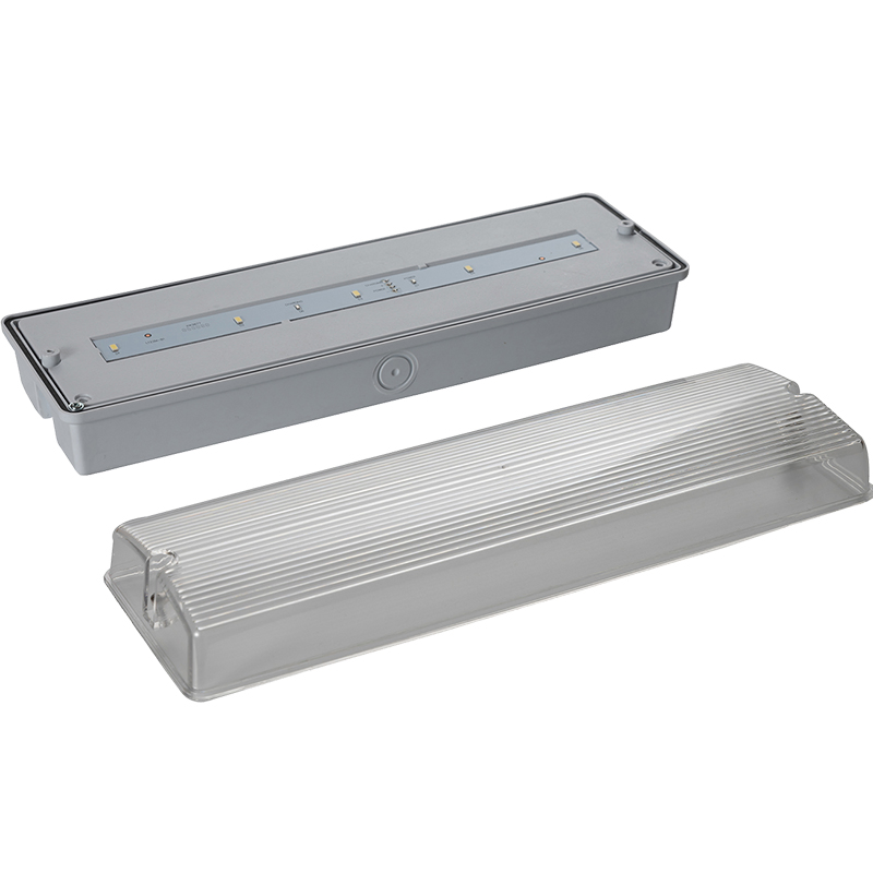 Exquisite Body IP65 Emergency LED Light with High-End Quality for Promotion