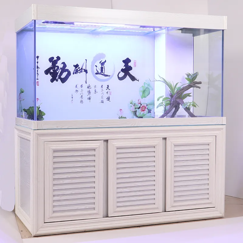 Aquarium Design