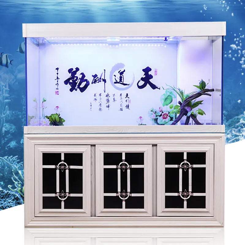 LED Lighting Display