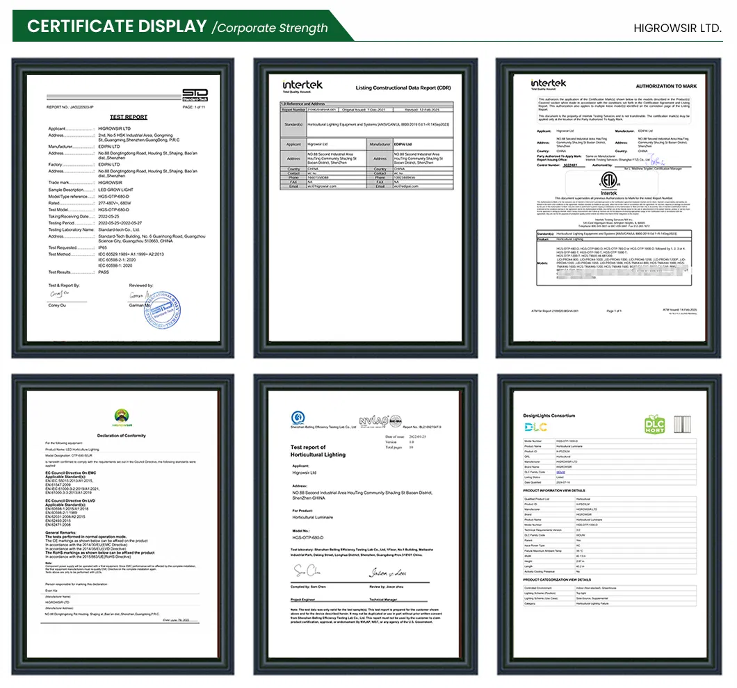 Aquarium Light View 9