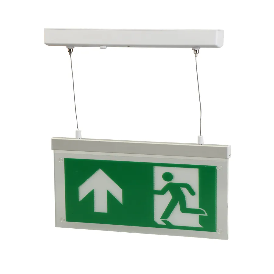 Emergency Light Detail 5