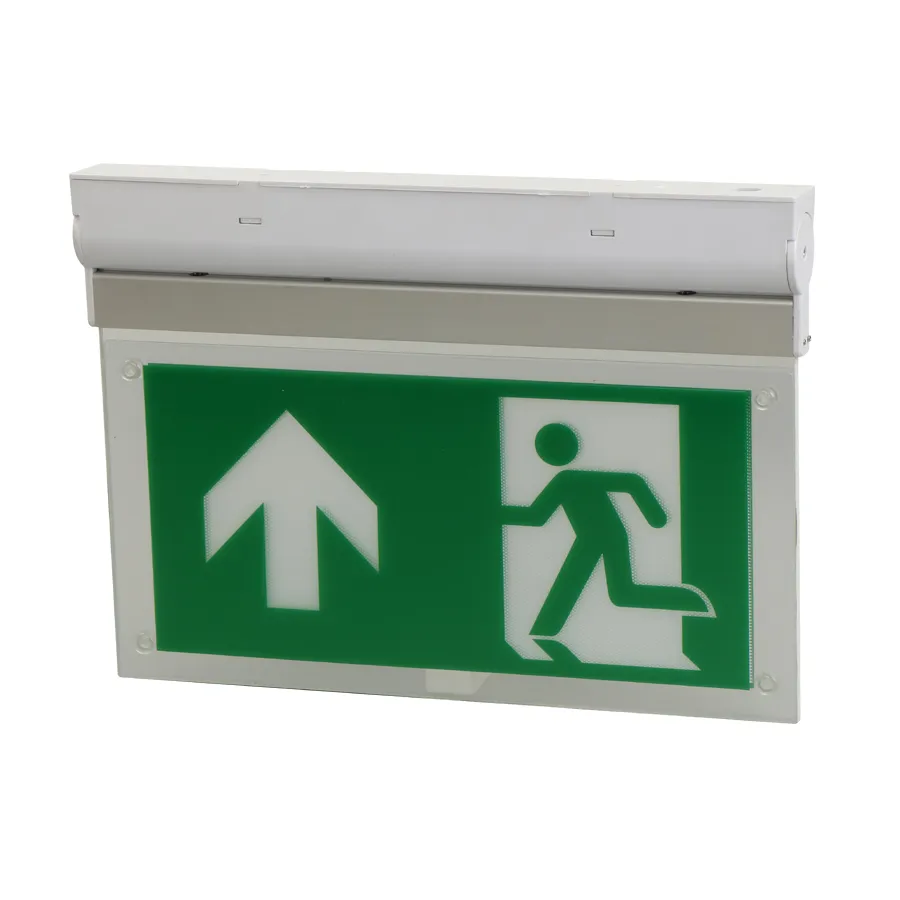 Emergency Light Detail 1