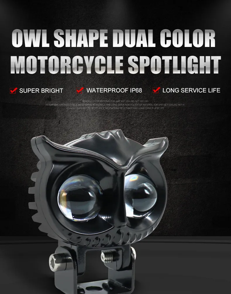 Motorcycle Light Detail 1