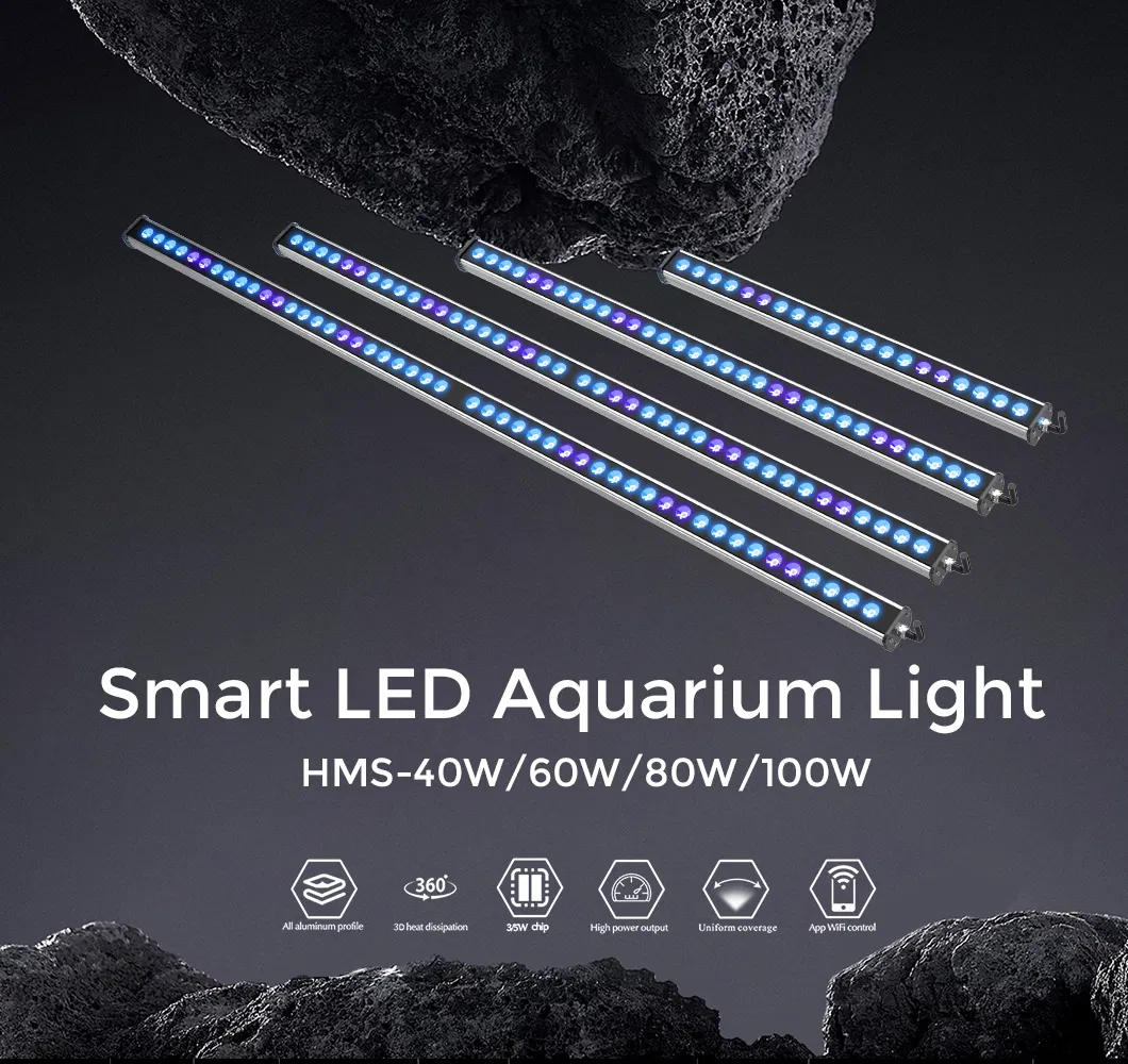 Aquarium Light View 1