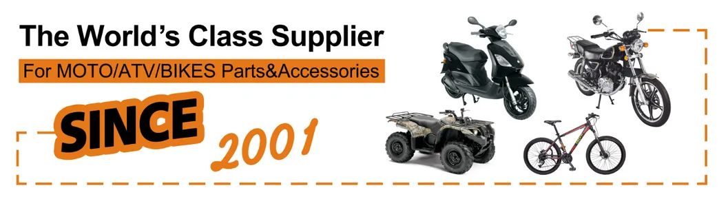 LED Head Lamp Headlight Detail