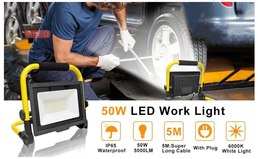 Adjustable Flood Light
