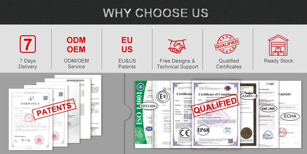 Driving Light Features