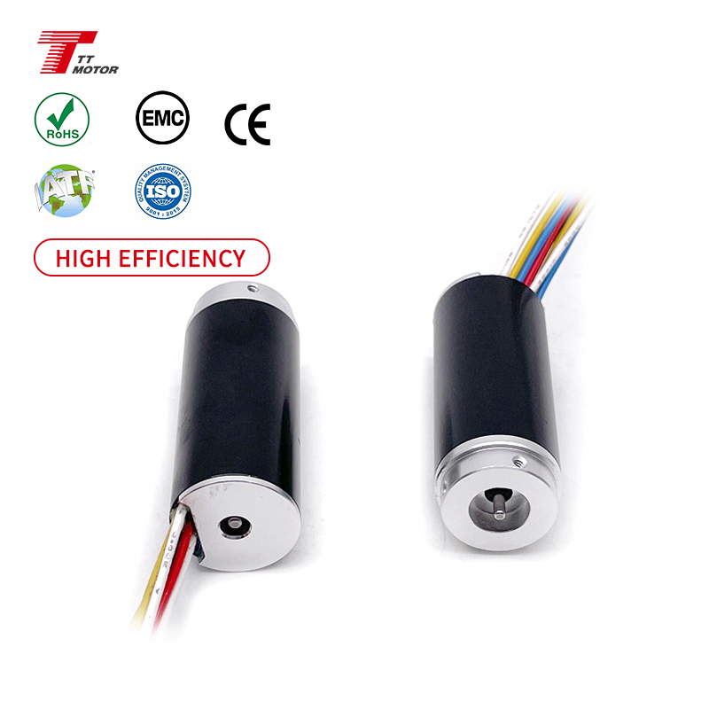 TT Motor Supplier 16mm Long Lifetime  Bldc  Electric Motor Coreless Motor Good Production Factory