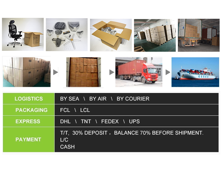 Packaging Standard