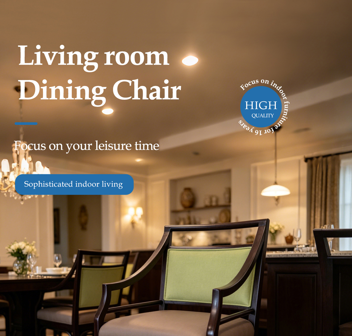 Dining Chair View 1