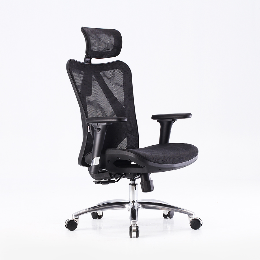 Ergonomic Office Chair Model 2