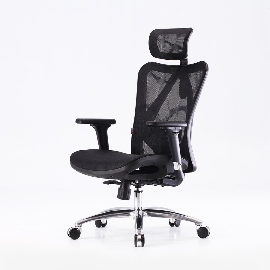 Ergonomic Office Chair Colors 2