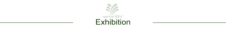 Exhibition Image 1
