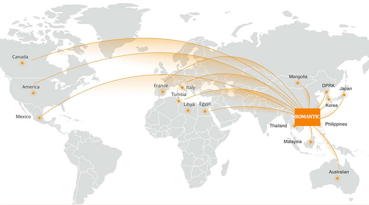 Global Sales Network Map