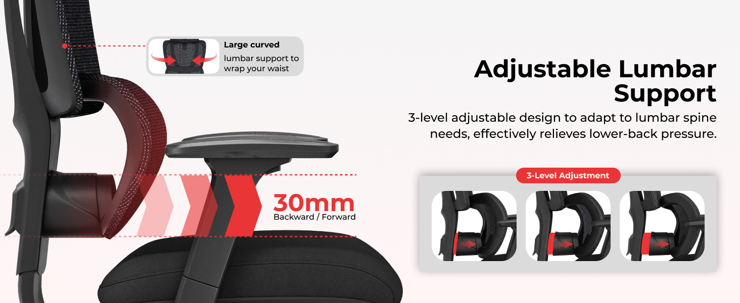 Sturdy Base and Casters