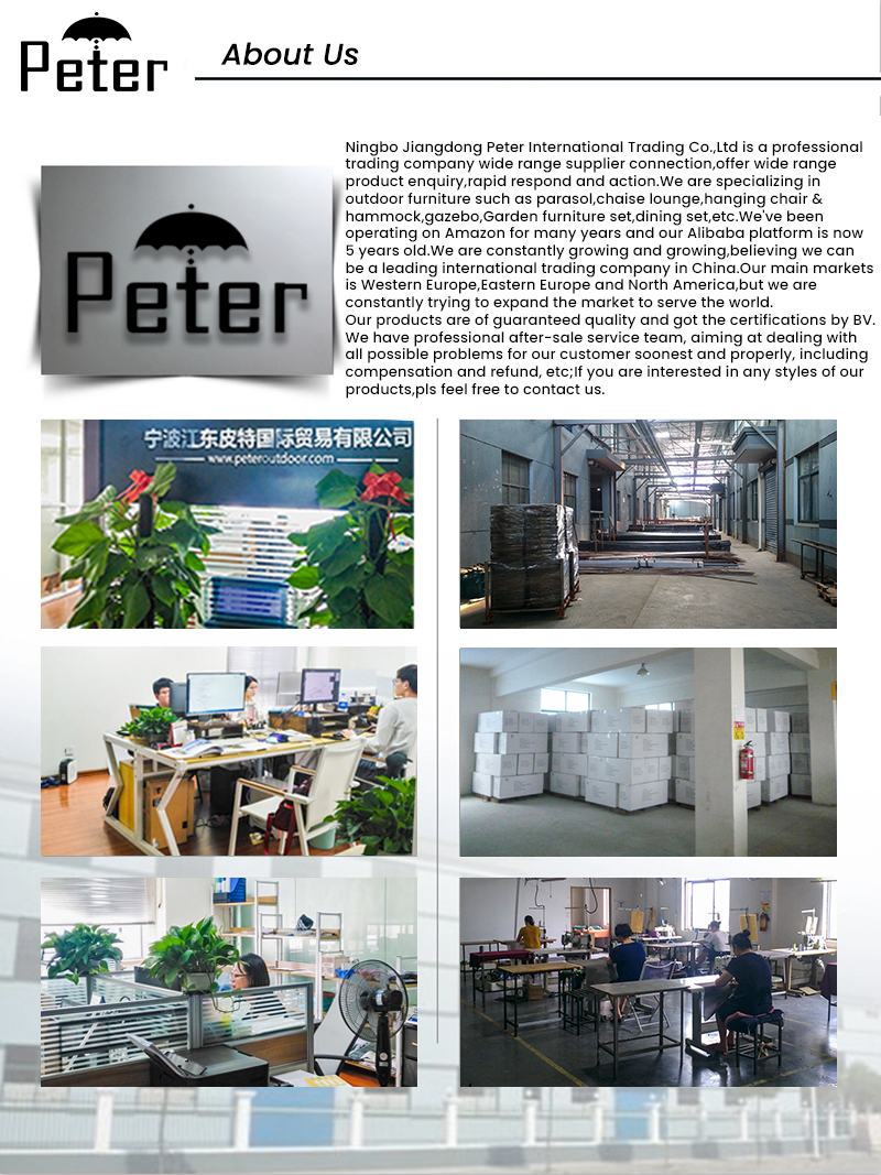 Company Overview 1