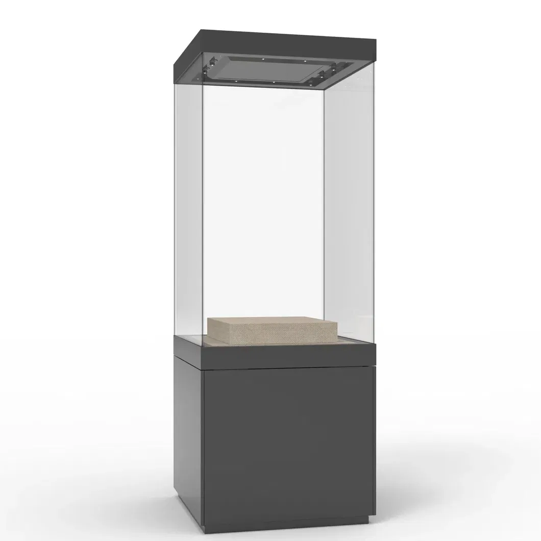 Advanced Freestanding Luxury Glass Cabinet with LED Lighting for Jewelry Display