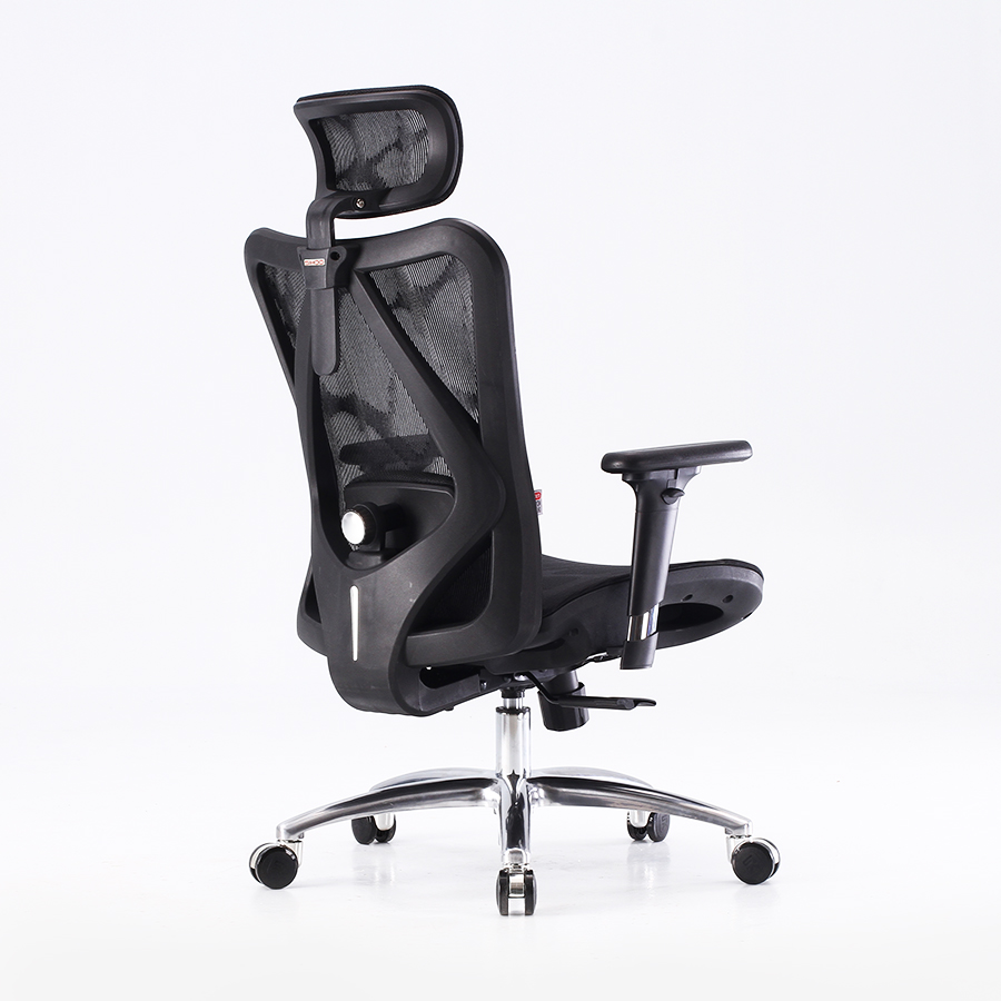 Ergonomic Office Chair Details 1