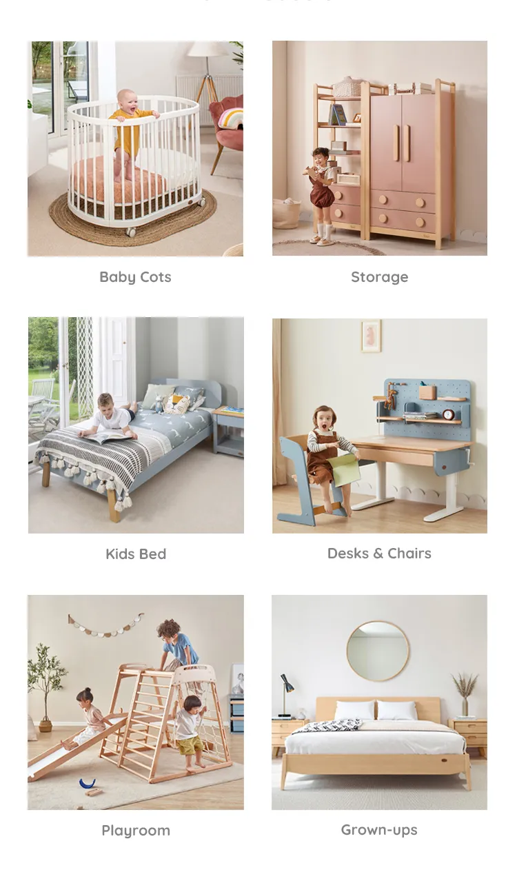 Main Products Showcase