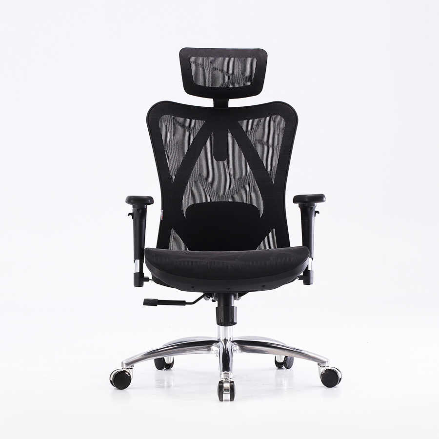 Ergonomic Office Chair Model 1