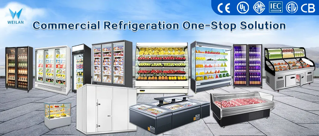 Small-Scale Bakery Display Cooler Square Cake Cabinet with Curve Glass for Cupcakes and Pastry Chocolate Refrigerator