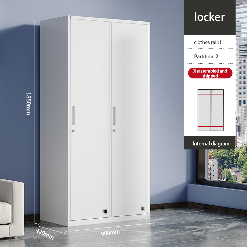 High Quality Wardrobe Cabinet Modern 2-door Locker Gtay Color Steel Storage Locker Eco-Friendly Home Furniture for Home Use