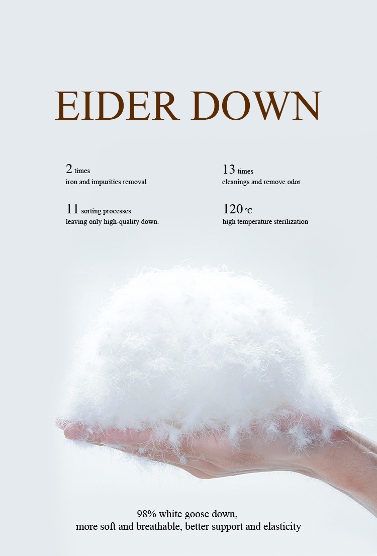 Foam and Cushion Layer