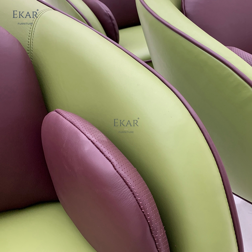 EKAR Designer Lounge Chair Modern Accent Armchair for Living Room &amp; Contemporary Interiors