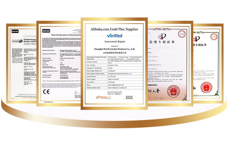 Certification Image 2