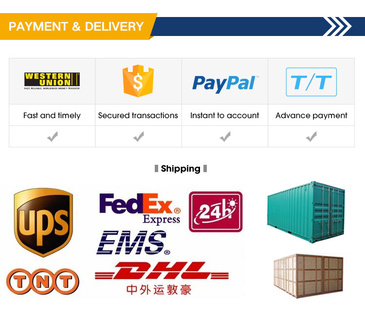 Payment and Delivery Details