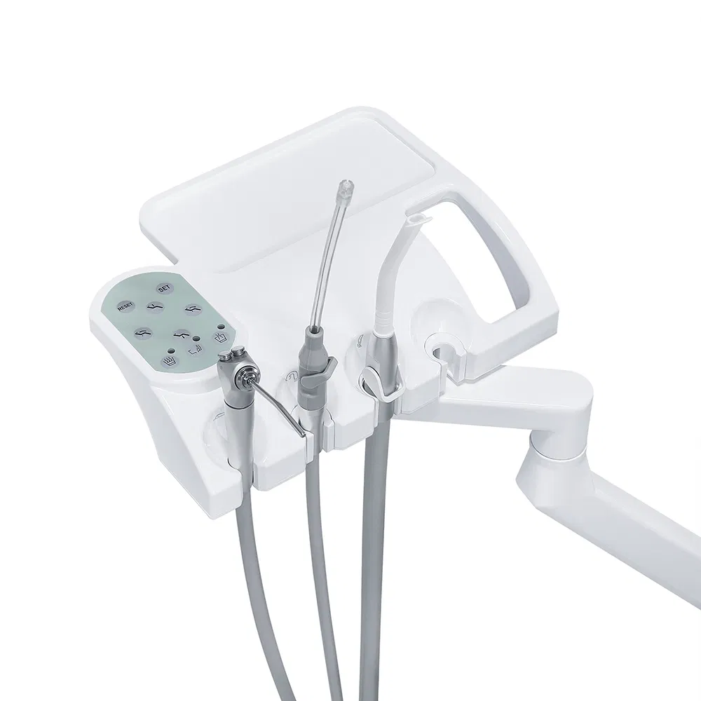 Luxury Dental Chair Unit Set Featuring Light Curing Scaler Monitor with Plastic and Metal Materials