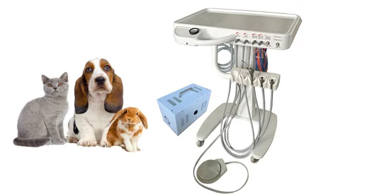 Mobile Dental Unit Description