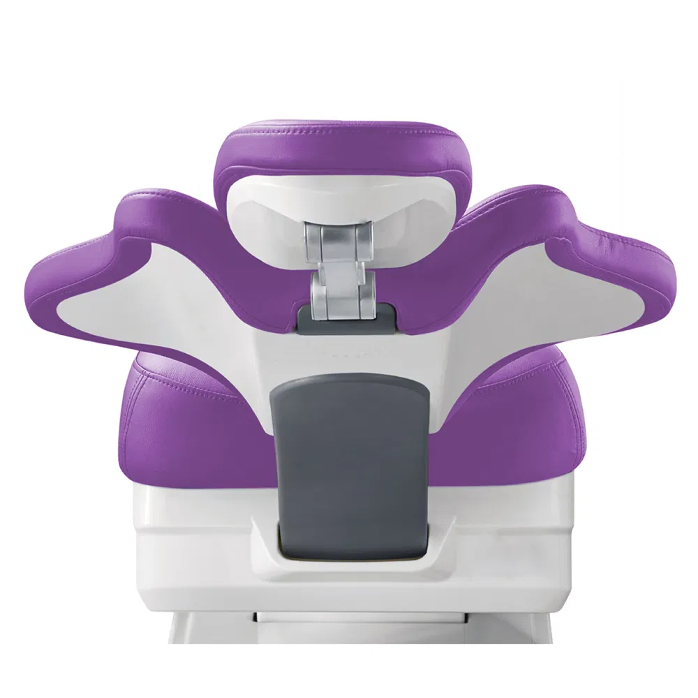 Luxury Dental Chair Unit Set Featuring Light Curing Scaler Monitor with Plastic and Metal Materials