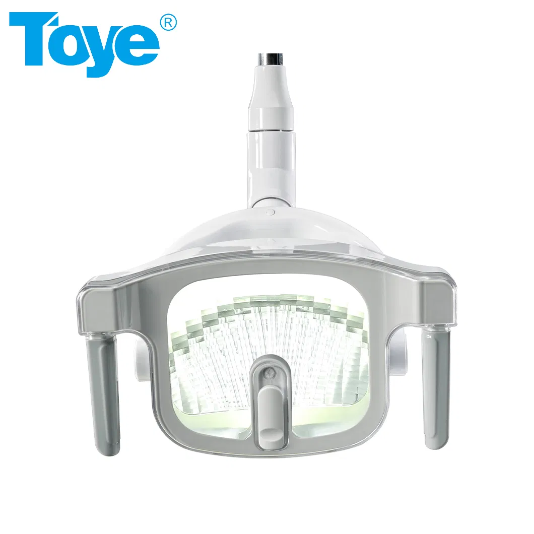 Economic Electrical Operated Dental Chair Basic Type Integral Dental Unit