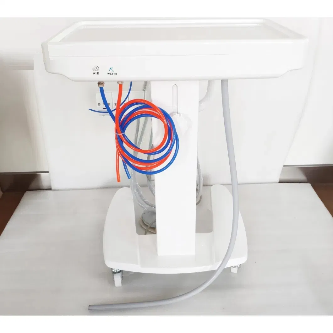 Portable Dental Dental Portable Turbine Unit Work with Air Compressor Dentistry Equipment