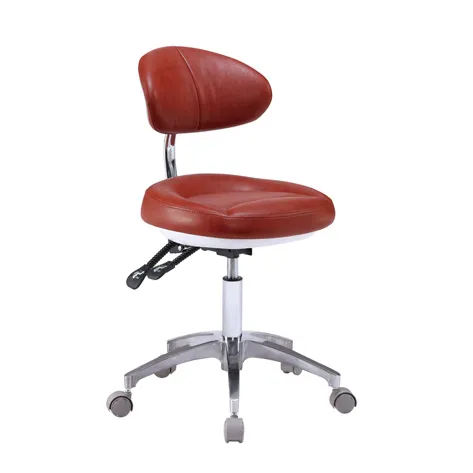 Luxury Dental Stool