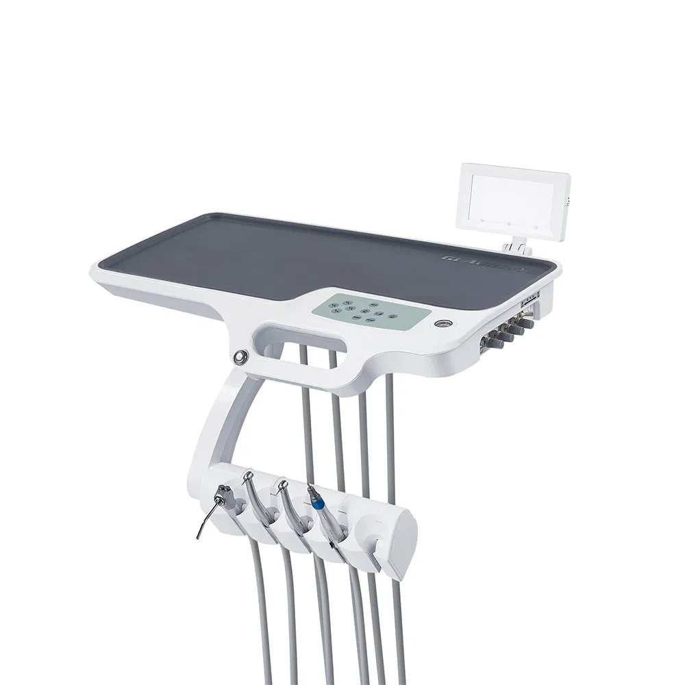 Luxury Dental Chair Unit Set Featuring Light Curing Scaler Monitor with Plastic and Metal Materials