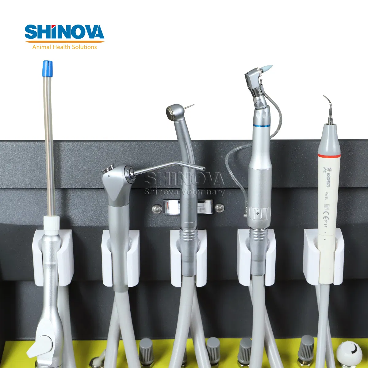 Pet Clinic Animal Dental Treatment Mobile Veterinary Dental Unit Du-100