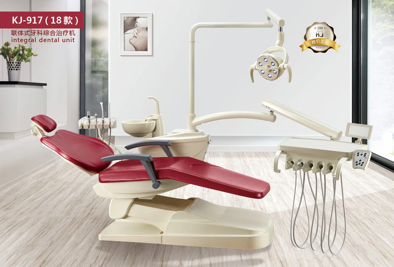 Dental Chair Unit Standard Type Dental Equipment with Luxury LED Cold Light Lamp