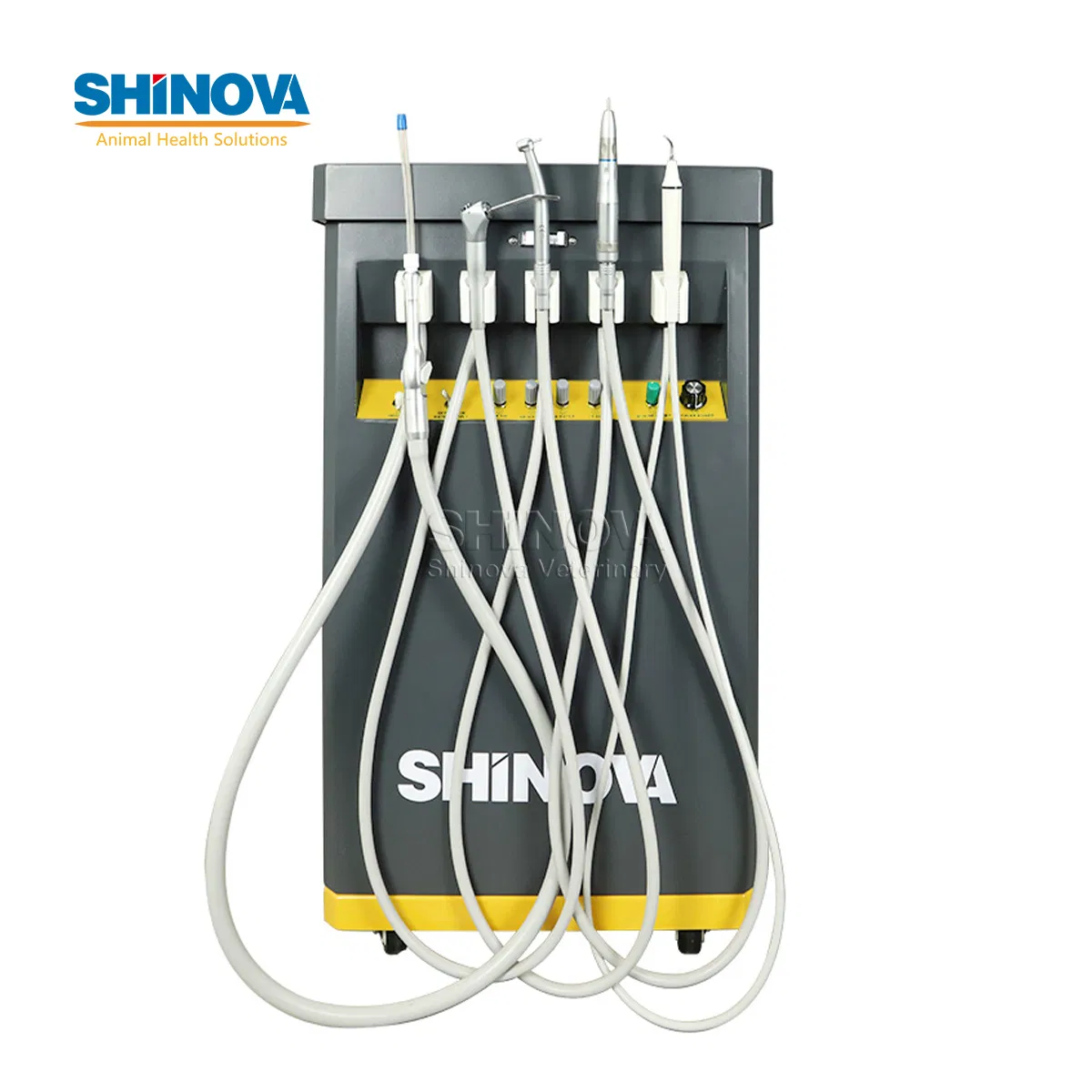 Pet Clinic Animal Dental Treatment Mobile Veterinary Dental Unit Du-100