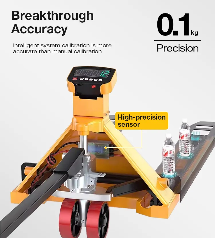 Precision Scale Details