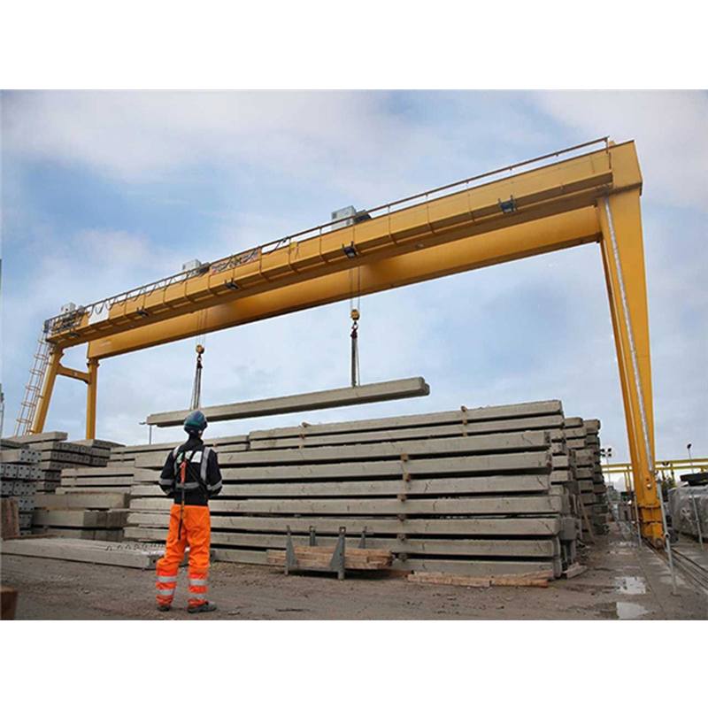 Workshop Electric Double Girder Beam Overhead Bridge Traveling Hoist Crane with High Quality