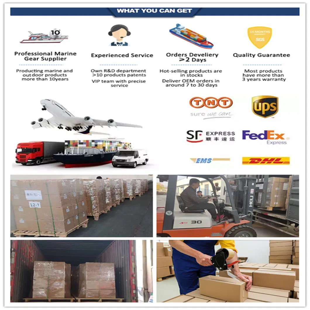 Packaging and Logistics