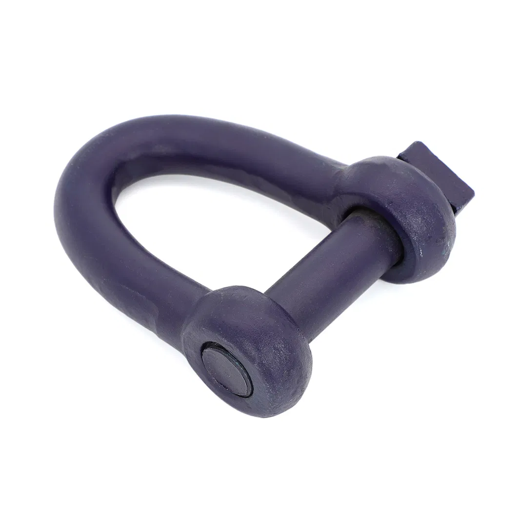 Socket Head Pin Dee Shackle 316