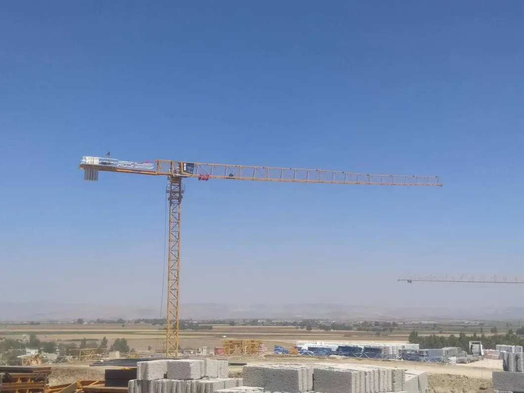 Tower Crane Detail 6