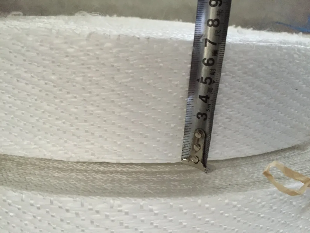 Detailed Webbing View 2