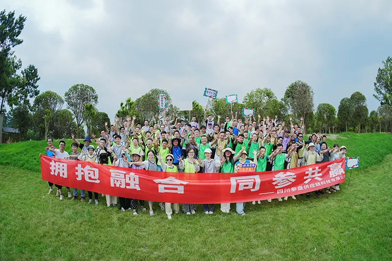 SCP long-term development strategy — green intelligent and efficient supply chain for future enterprises