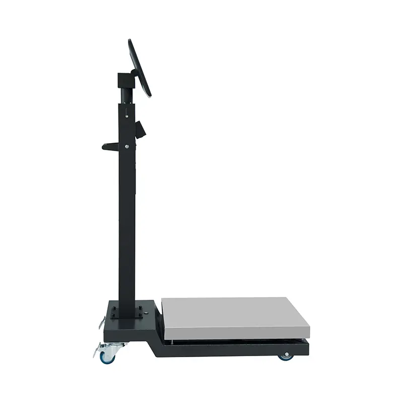 China Floor Scale SCP101 & SCP100 - High-Quality Touch Screen Weighing Solutions by Leading Suppliers and Factory